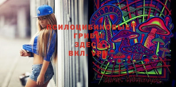 ALPHA PVP Осташков