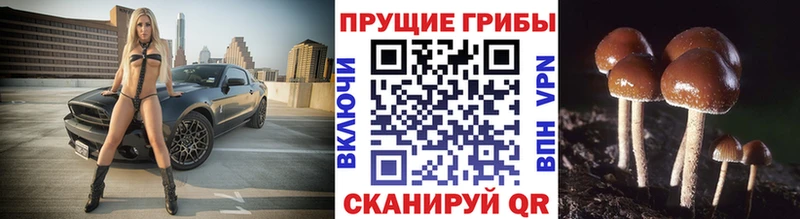 Псилоцибиновые грибы ЛСД  где купить наркоту  Туран 